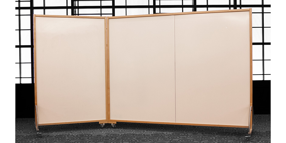 whiteboard singles and double panel